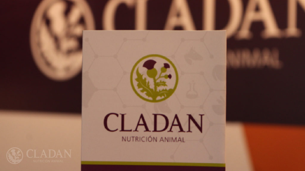 Cladan Servicio