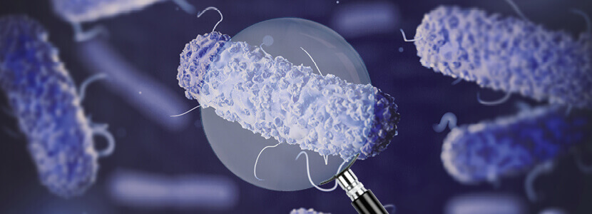 E. coli ETEC: virus