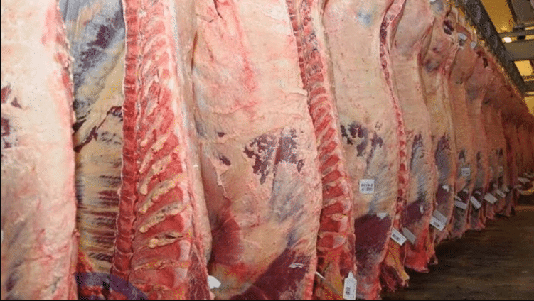 Japón podría aumentar sus importaciones de carne vacuna argentina