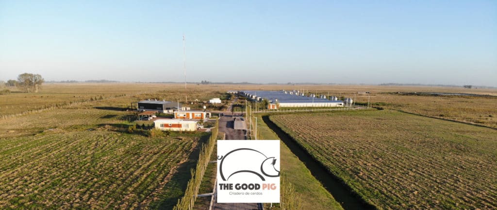 The Good Pig planta de Producción Porcina