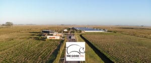 The Good Pig planta de Producción Porcina