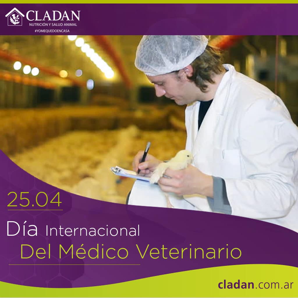 25 abril: Día internacional del Médico Veterinario