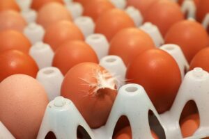 Huevos en producción industrial en el mundo